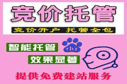 百度SEO推广公司案例剖析：助力企业提升排名